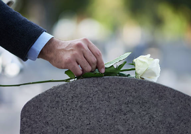 Rose on casket image